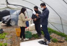 비트 소득향상 위해 인력부족 대책 세워야. 판매처 다변화, 제품 개발 등도 필요