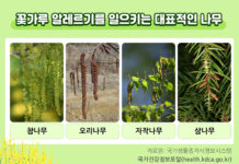 4월 ‘꽃가루 알레르기의 예방·관리’