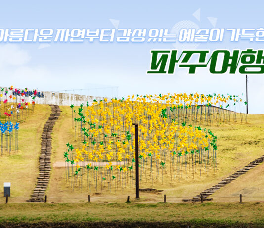 아름다운 자연부터 감성 있는 예술이 가득한 파주 여행