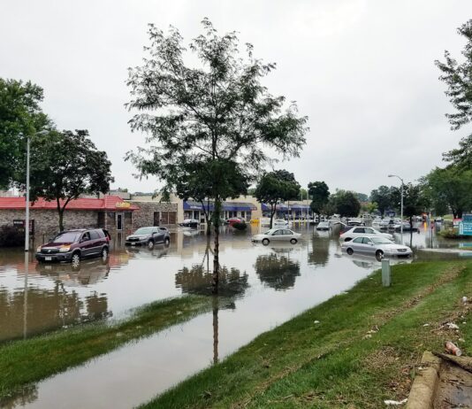여름철 집중호우 대비 ‘침수 취약계층’ 1:1 집중 보호 cars on flooded street