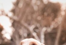 반려견 등록 9월 30일까지 자진신고하면 과태료 면제 dog holding flower