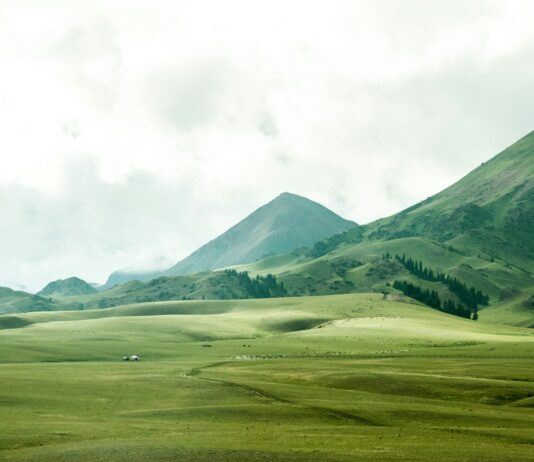 스트레스 해소를 위한 자연 속 힐링 여행지 추천 bird's eye view of grassland beside mountain