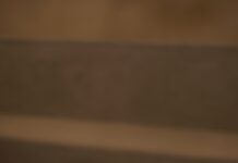 레오틴(Leptin)과 그렐린(Ghrelin): 식욕 조절 호르몬의 비밀 a plate with food on it