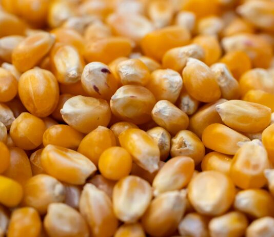 지구환경을 위한 선택, 식물성 단백질