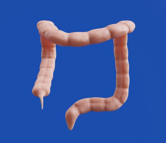 “스트레스 받으면 위장이 먼저 반응해요”…’마음이 배로 간다’는 과학적 이유 The image shows a 3D model of a colon.