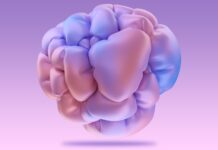 “다이어트 중인데 턱에만 여드름이 나요”… 호르몬이 보내는 신호일 수 있다 A computer generated image of a human brain