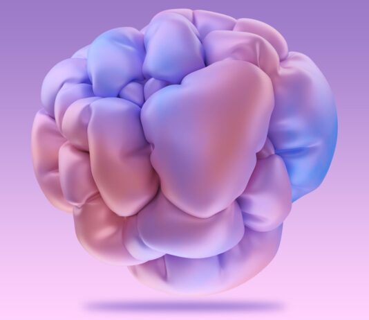 “다이어트 중인데 턱에만 여드름이 나요”… 호르몬이 보내는 신호일 수 있다 A computer generated image of a human brain